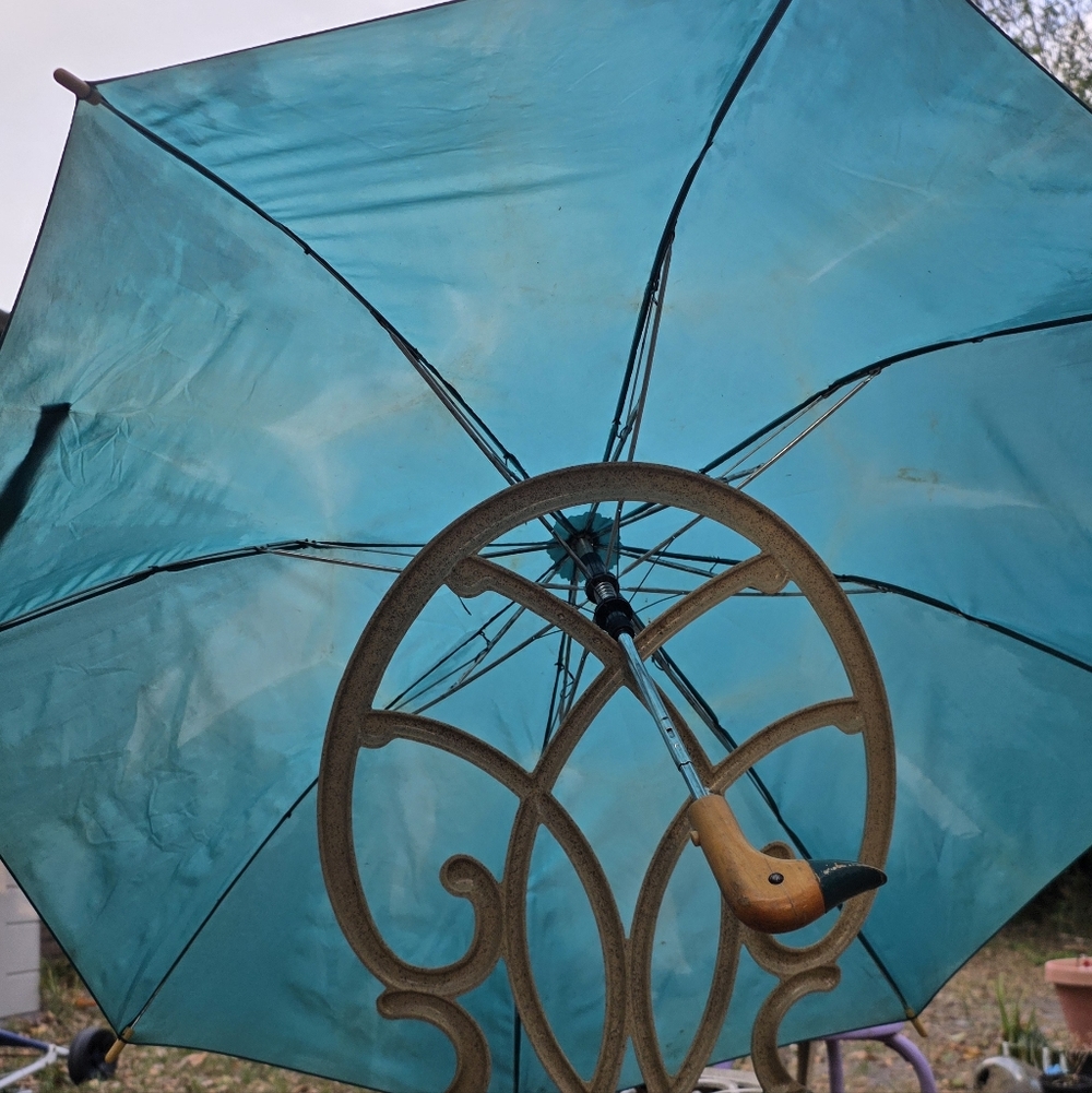 VTG Raines Teal Duck Head Umbrella 80's "Foul Weather Friend"
